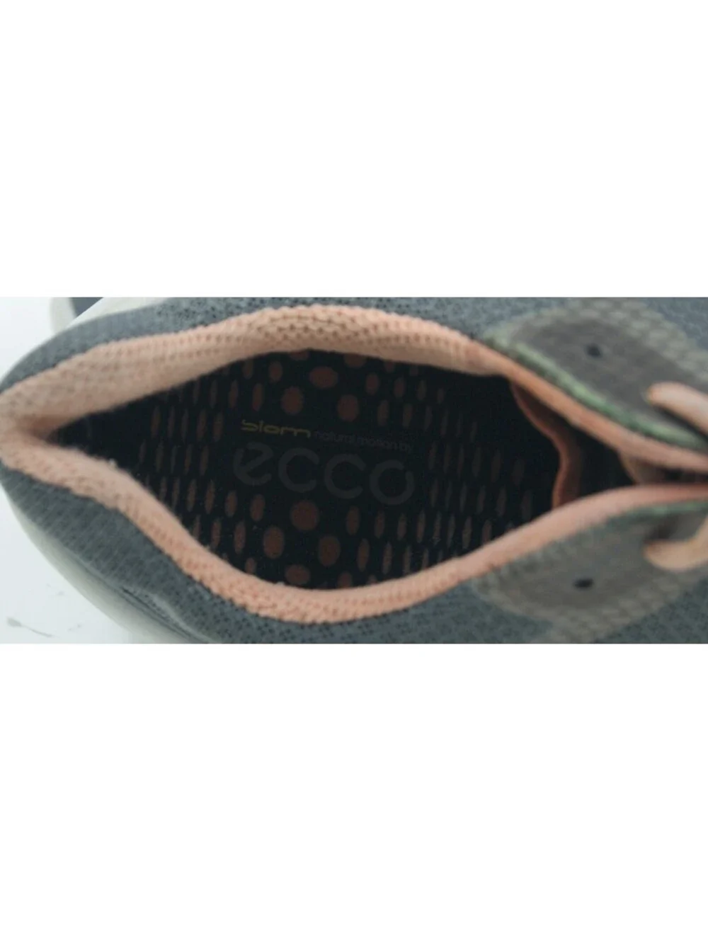 Ecco biom fjuel